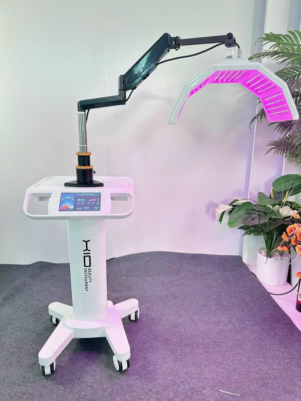 may chieu anh sang sinh hoc 678db36ee1a4a